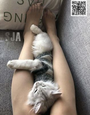 狼区二缓冲二通道免费_4K在线观看